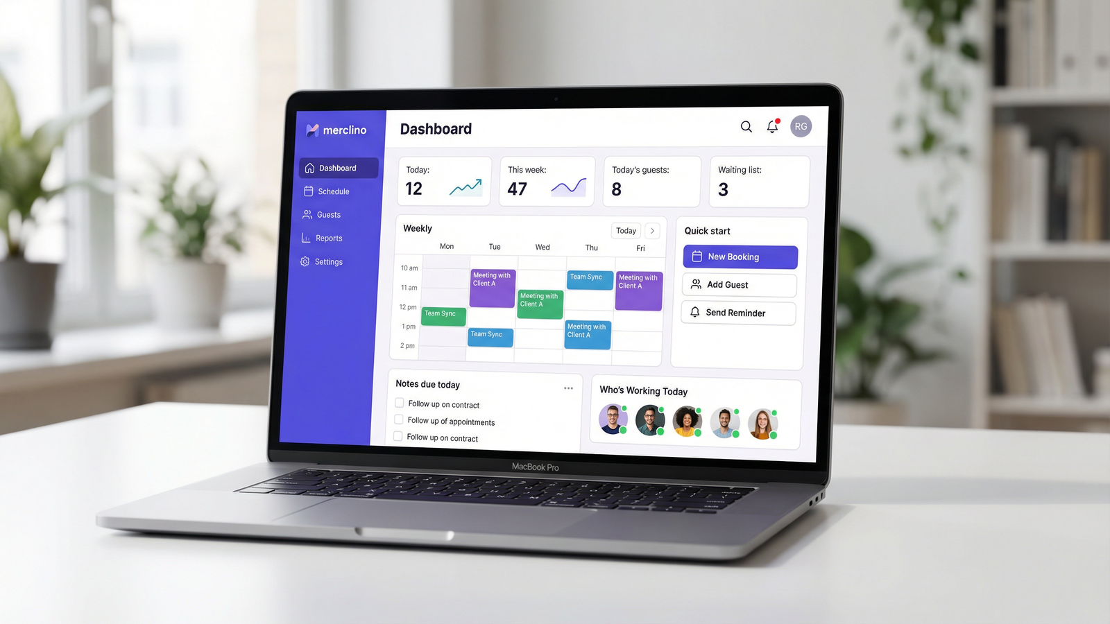 Merclino analytics dashboard with charts and reports